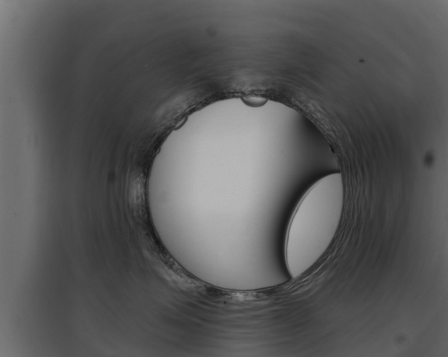 X0000097770623200803070902