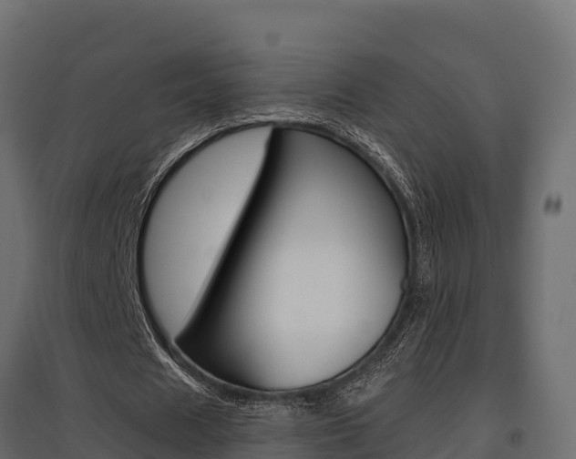 X0000097770625200803070901