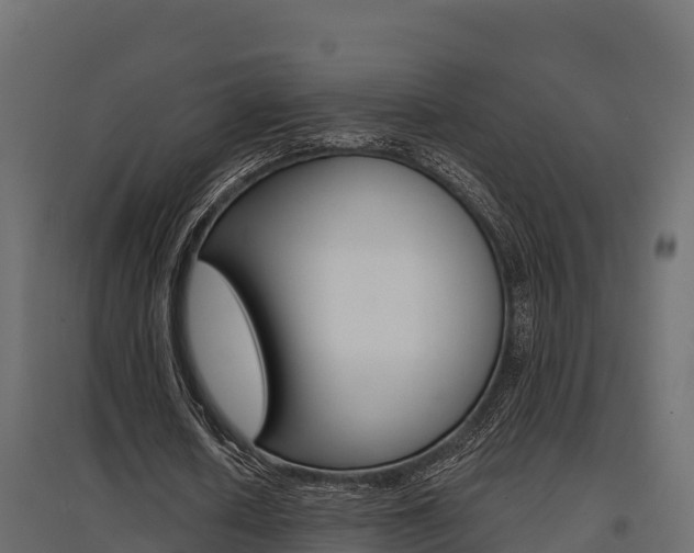 X0000097770626200803070901