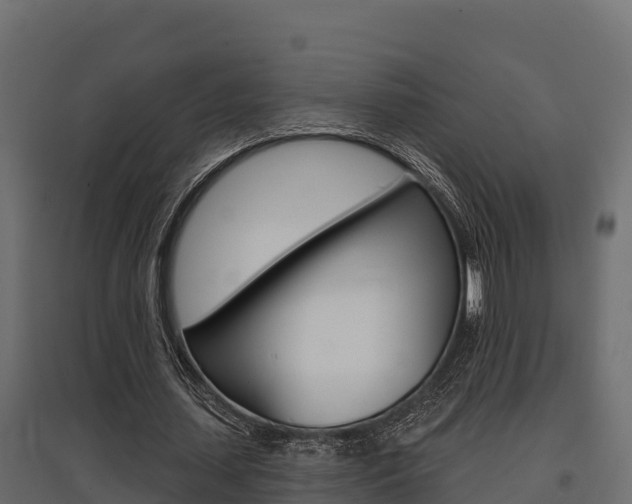 X0000097770627200803070901