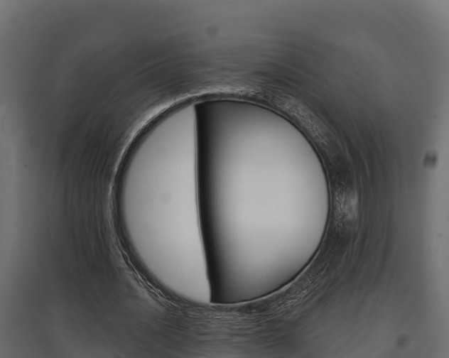 X0000097770628200803070901