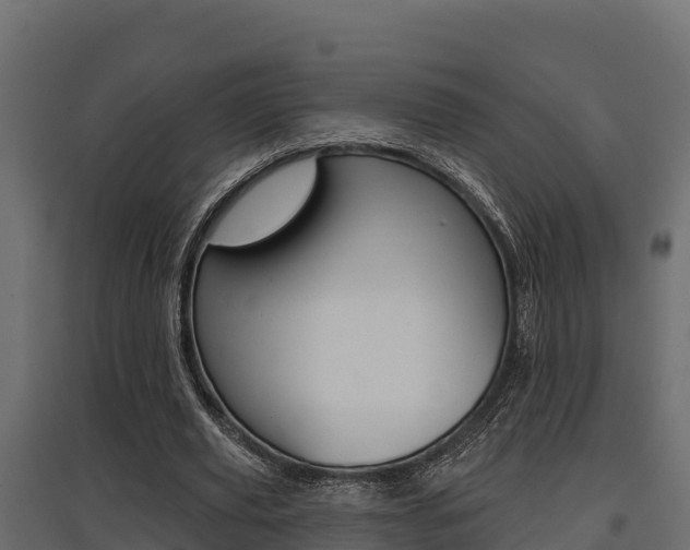 X0000097770629200803070901
