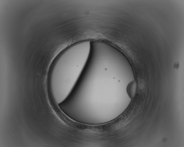 X0000097770630200803070901