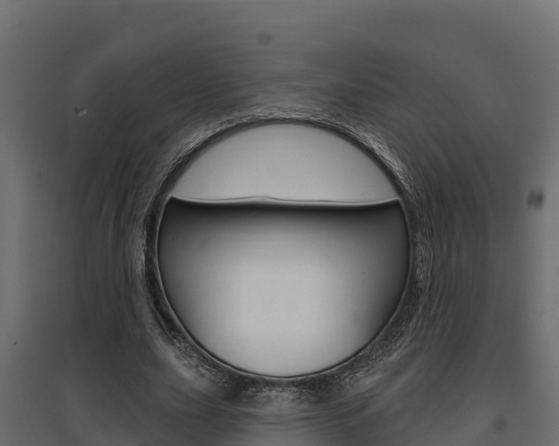 X0000097770631200803070901