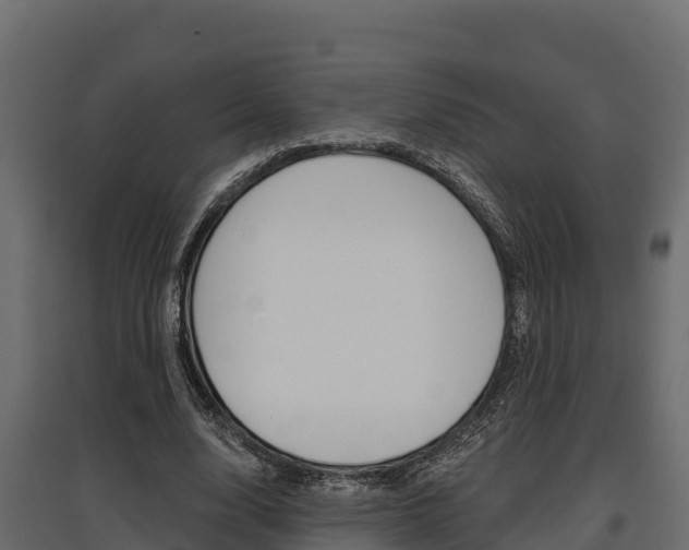 X0000097770632200803070901