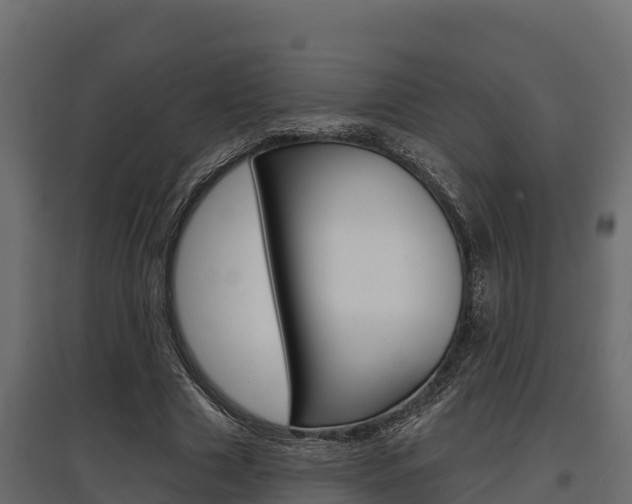 X0000097770633200803070901