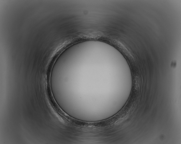 X0000097770634200803070901