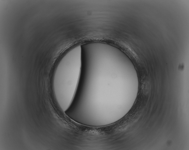 X0000097770635200803070901