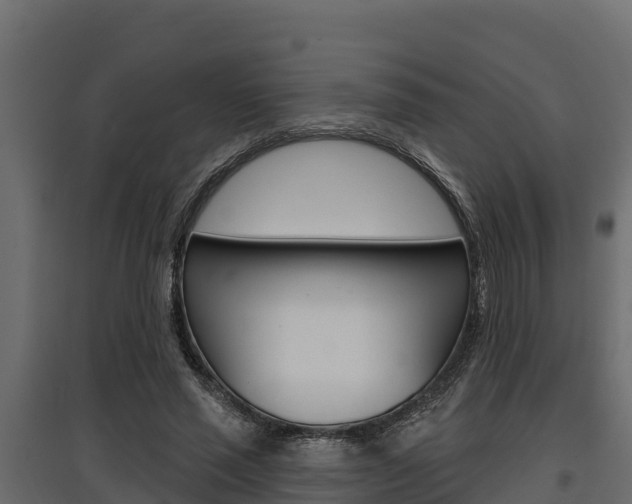 X0000097770637200803070901