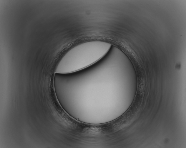 X0000097770639200803070901