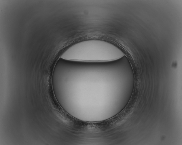X0000097770641200803070901