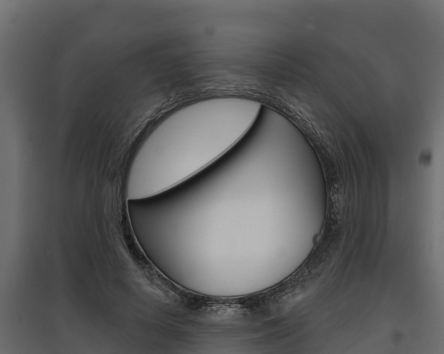 X0000097770642200803070901