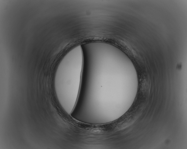 X0000097770643200803070902