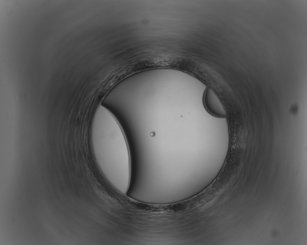 X0000097770646200803070902