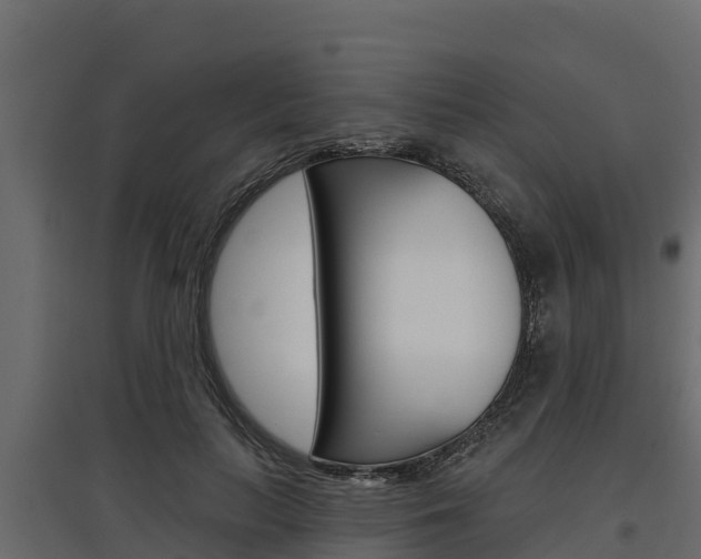 X0000097770647200803070902