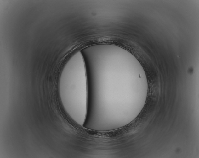 X0000097770648200803070902