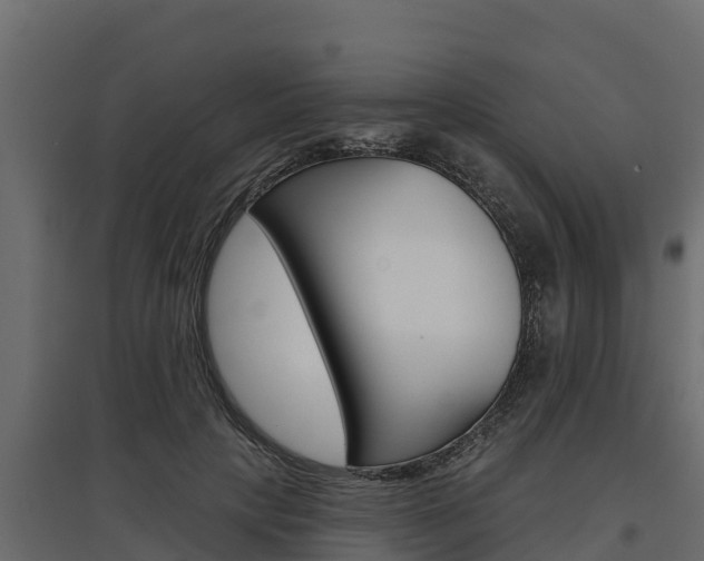 X0000097770649200803070902