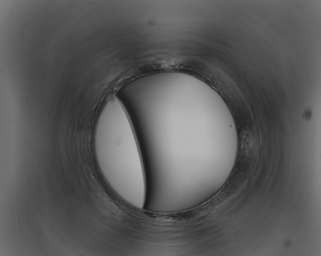 X0000097770650200803070902