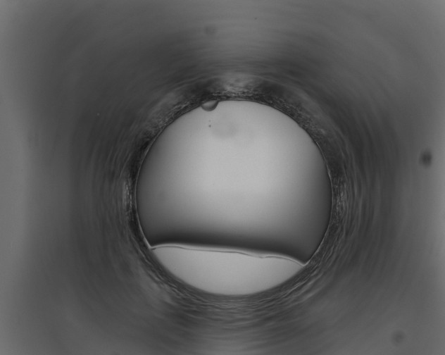 X0000097770651200803070902