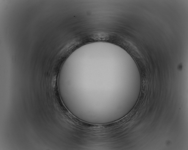 X0000097770652200803070902
