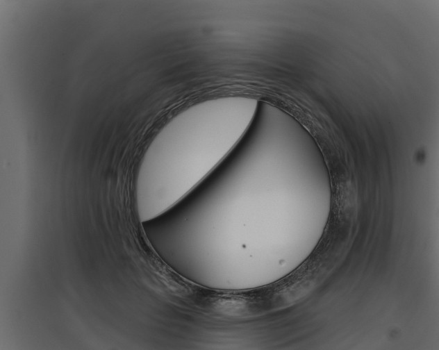 X0000097770653200803070902