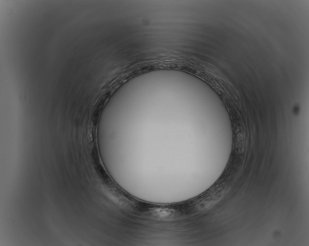 X0000097770654200803070902
