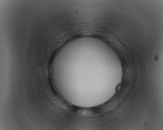X0000097770655200803070902