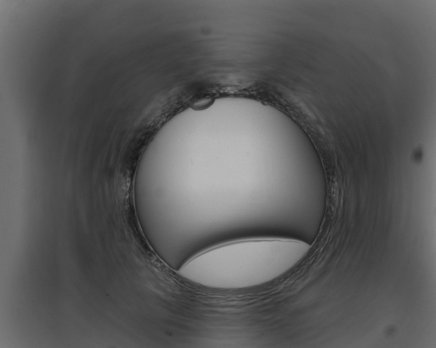 X0000097770657200803070902
