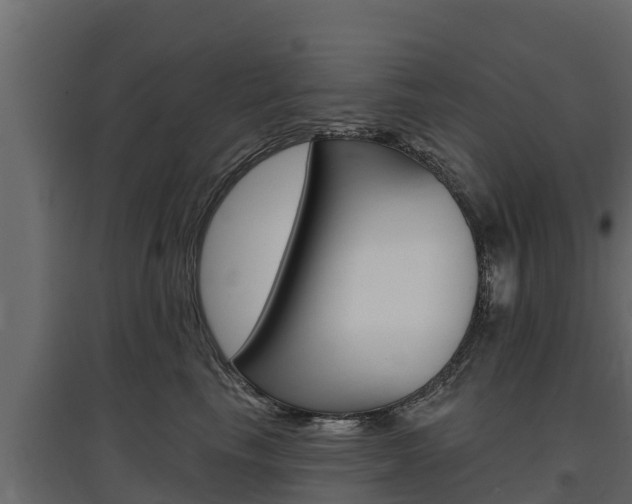 X0000097770665200803070902