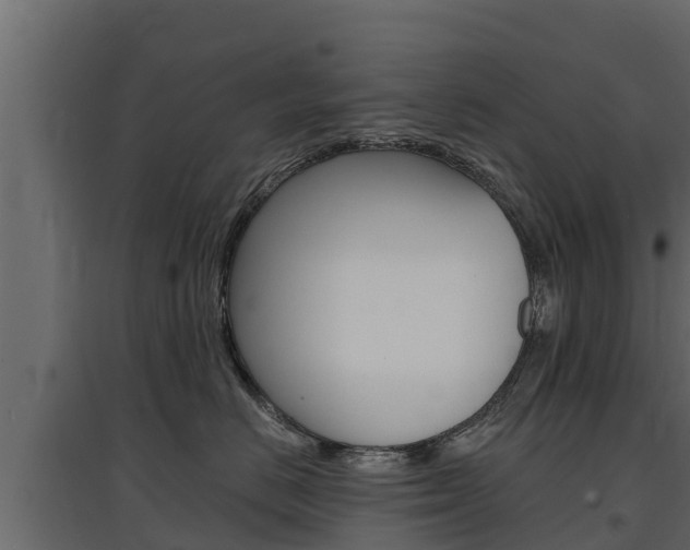 X0000097770670200803070902