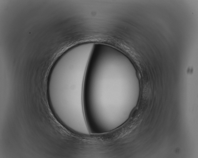 X0000097770673200803070901