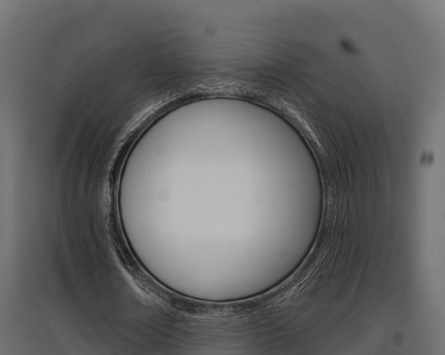X0000097770674200803070901