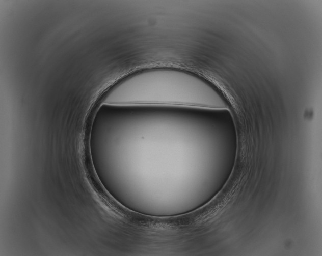 X0000097770677200803070901