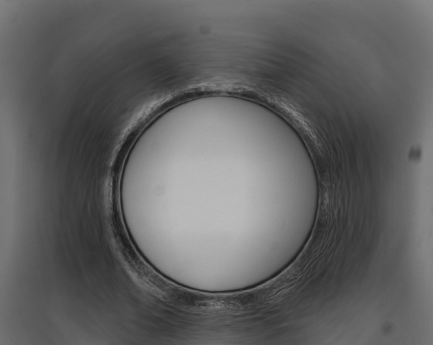 X0000097770678200803070901