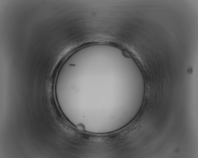 X0000097770679200803070901