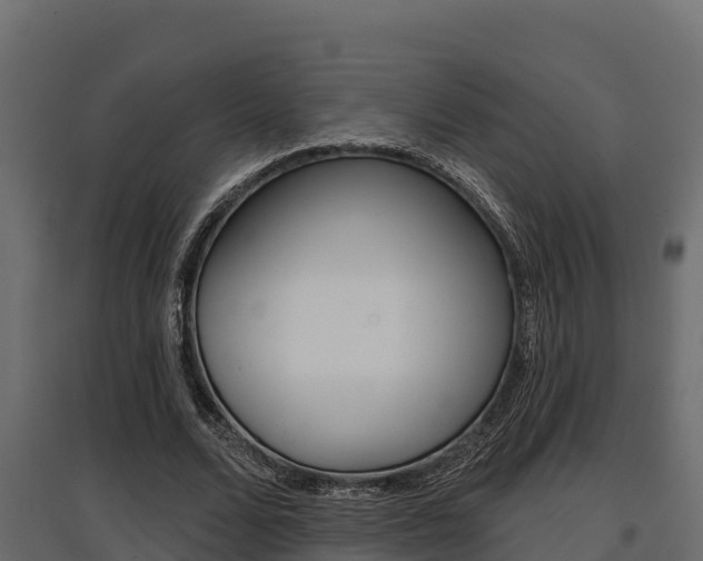 X0000097770680200803070901