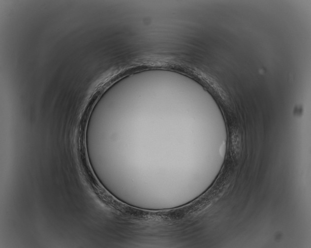 X0000097770682200803070901
