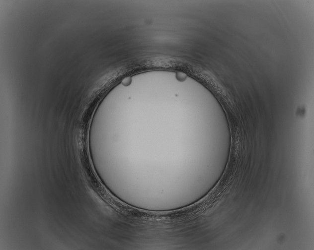X0000097770683200803070901