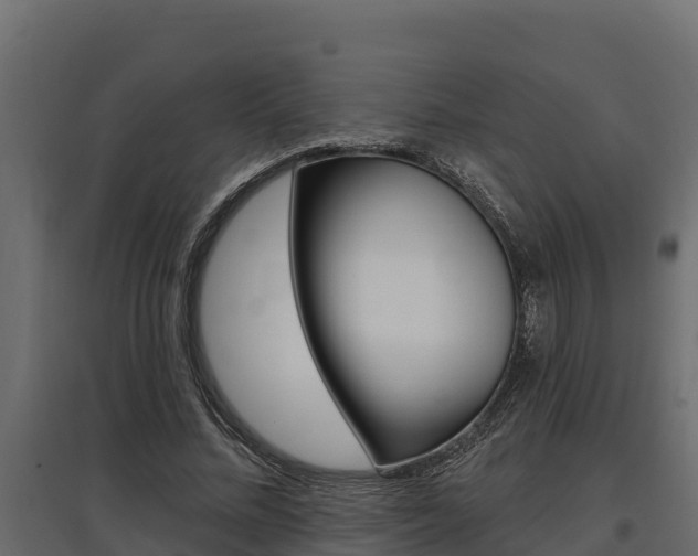 X0000097770684200803070901