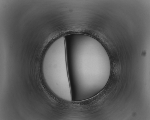 X0000097770685200803070901