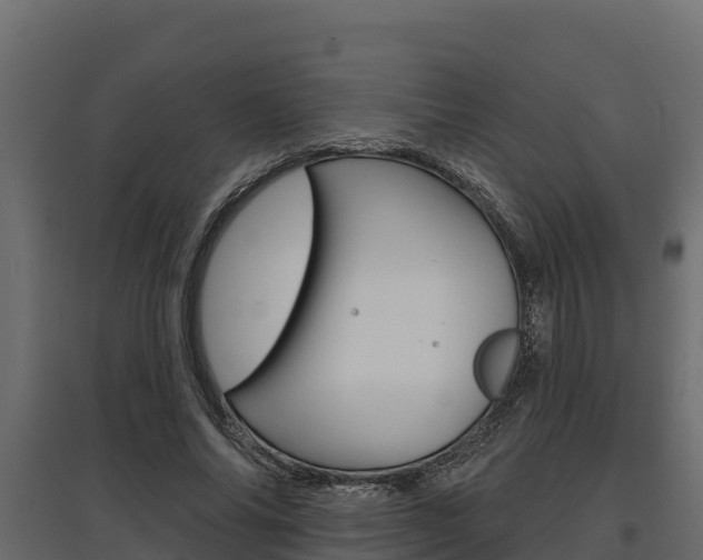 X0000097770686200803070901