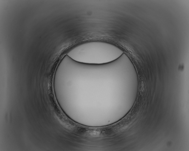 X0000097770687200803070901