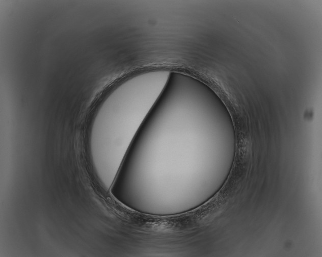 X0000097770688200803070901