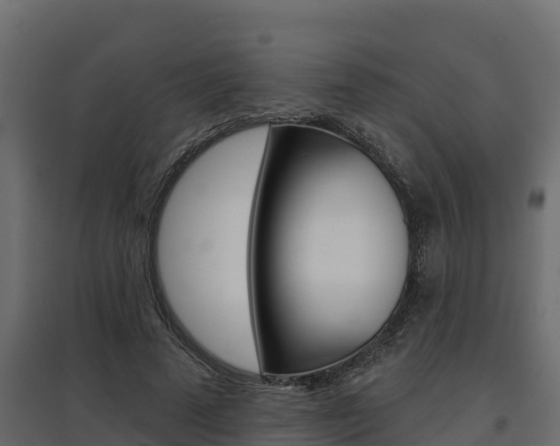 X0000097770689200803070901