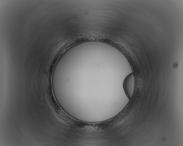 X0000097770690200803070901