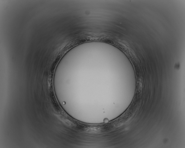 X0000097770691200803070901