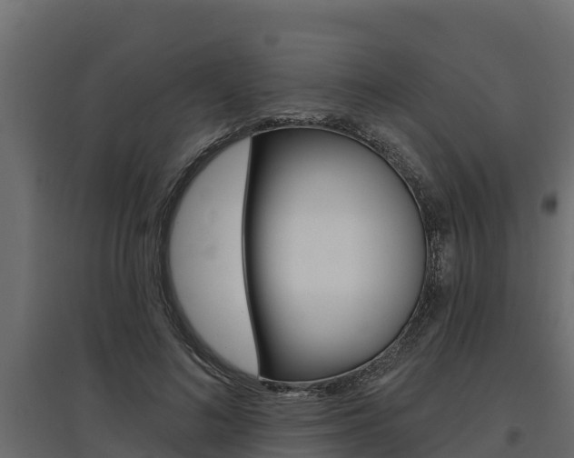 X0000097770692200803070901