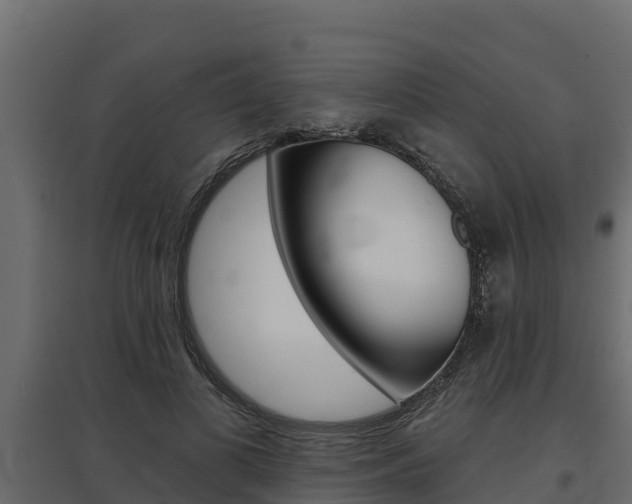 X0000097770693200803070901