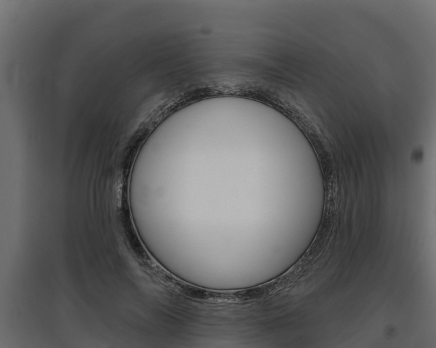 X0000097770694200803070901