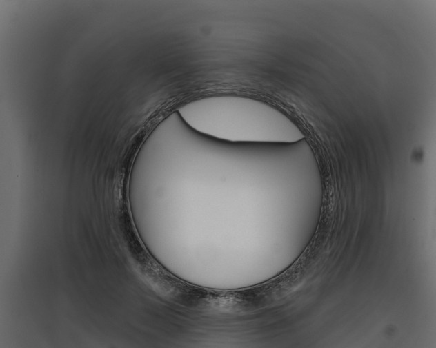 X0000097770695200803070901
